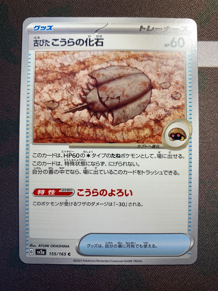 古びたひみつのコハク 古びたこうらの化石 古びたかいの化石 古びたひみつのコハク 古びたこうらの化石 古びたかいの化石