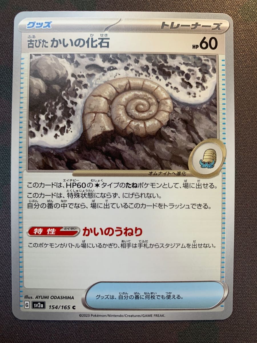 古びたひみつのコハク 古びたこうらの化石 古びたかいの化石 古びたひみつのコハク 古びたこうらの化石 古びたかいの化石