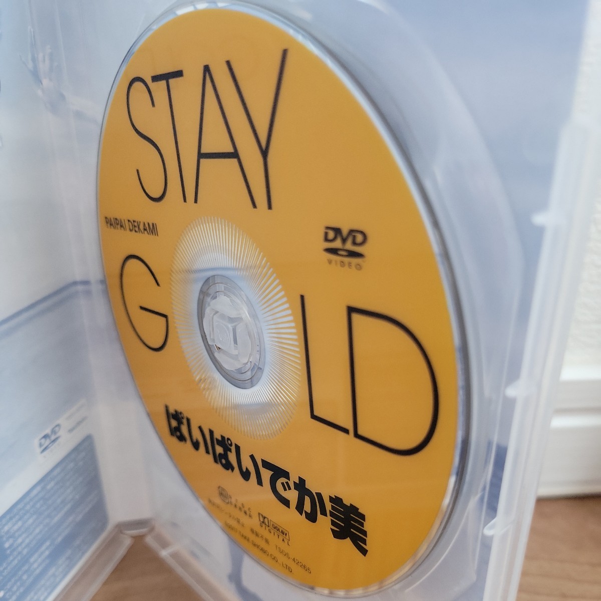 ぱいぱいでか美／STAY GOLD 【DVD】_画像3