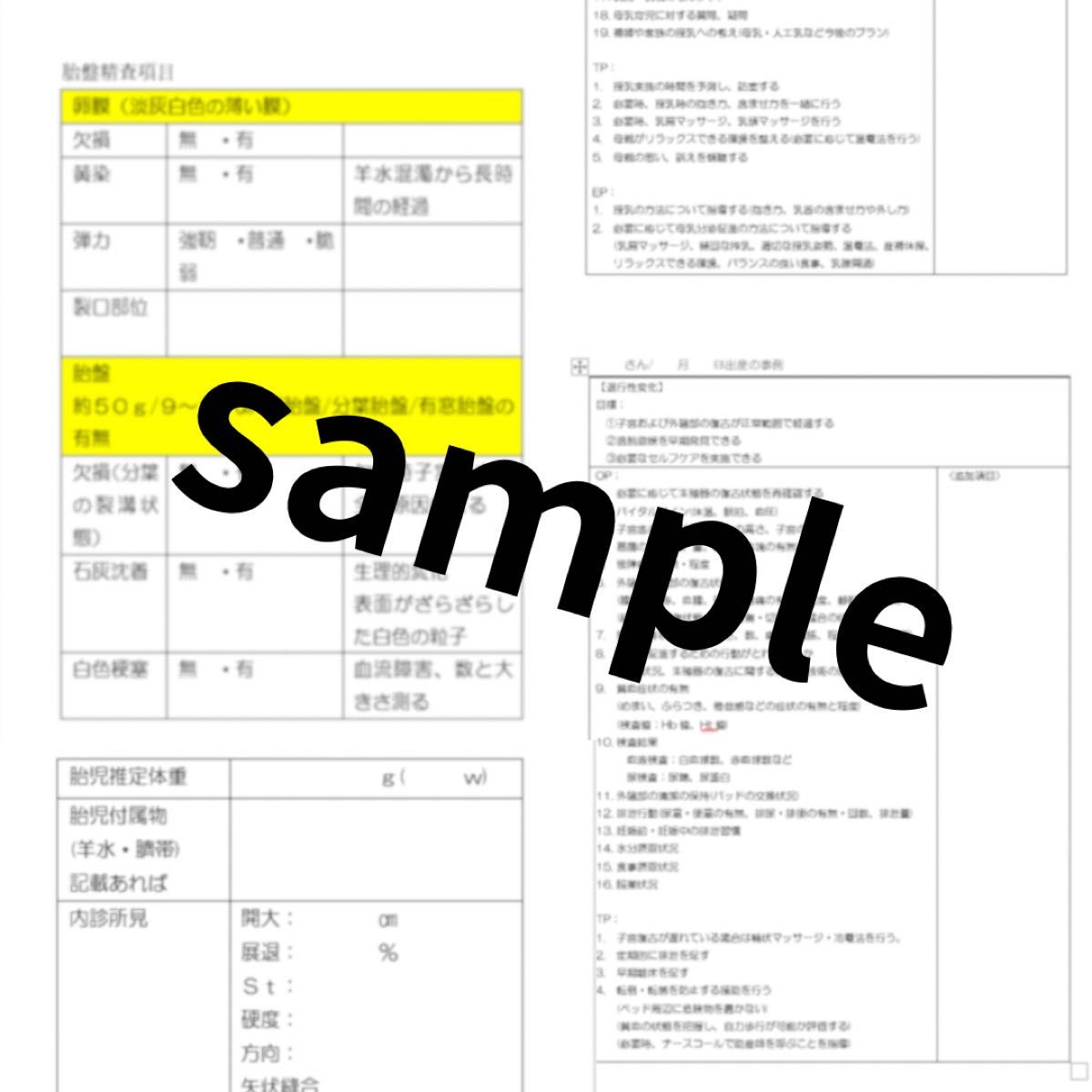 助産学生向け 事前学習・標準計画フルデータ 実習観察項目ポケット