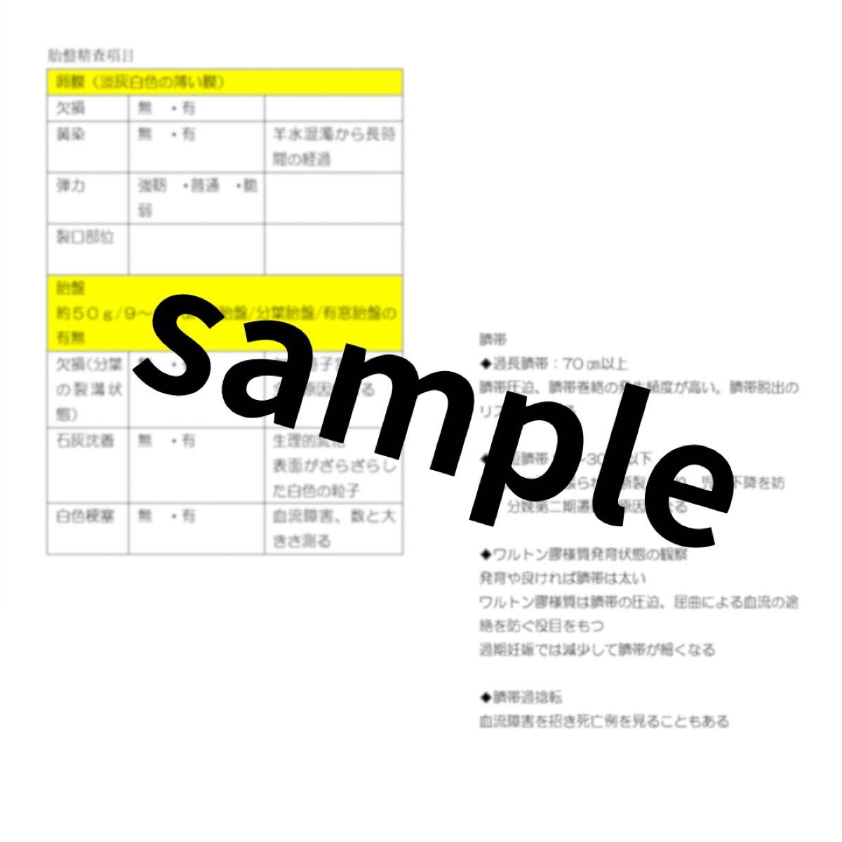 助産学生向け 実習観察項目 ポケットノート貼り付け用&事前学習ノート