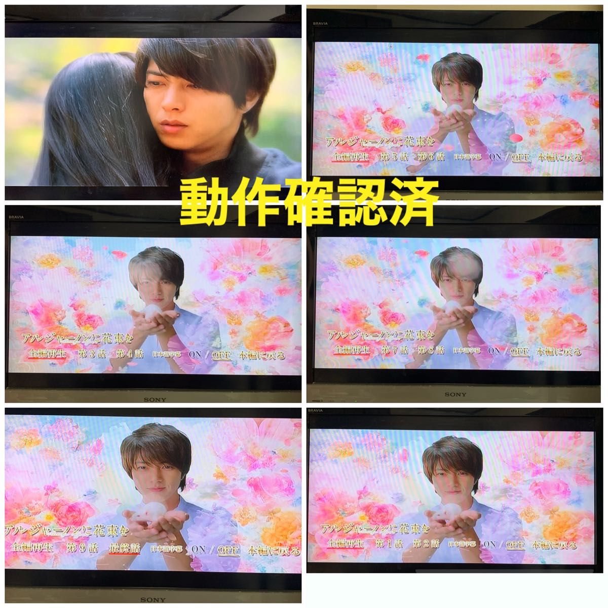 【送料無料】アルジャーノンに花束を DVD 全5巻セット 山下智久 栗山千明 【送料無料】アルジャーノンに花束を DVD 全5巻セット 山下智久 栗山千明