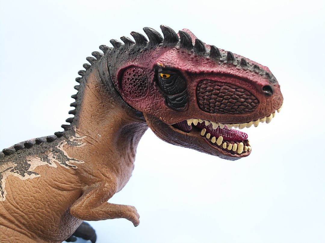 恐竜フィギュア シュライヒ ギガノトサウルス 全長約24cm ブラウン 少しハゲ有り 同梱歓迎 追跡有 匿名配送 Schleichの画像10