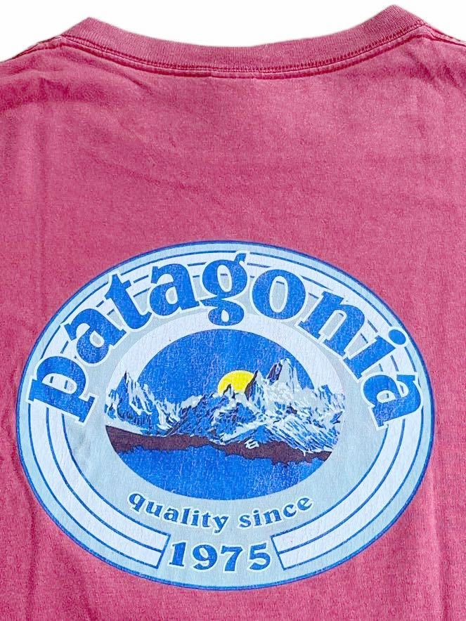 ★★★vintage 白タグ patagonia パタゴニア フィッツロイ オーバルロゴT S ダークレッド★★★