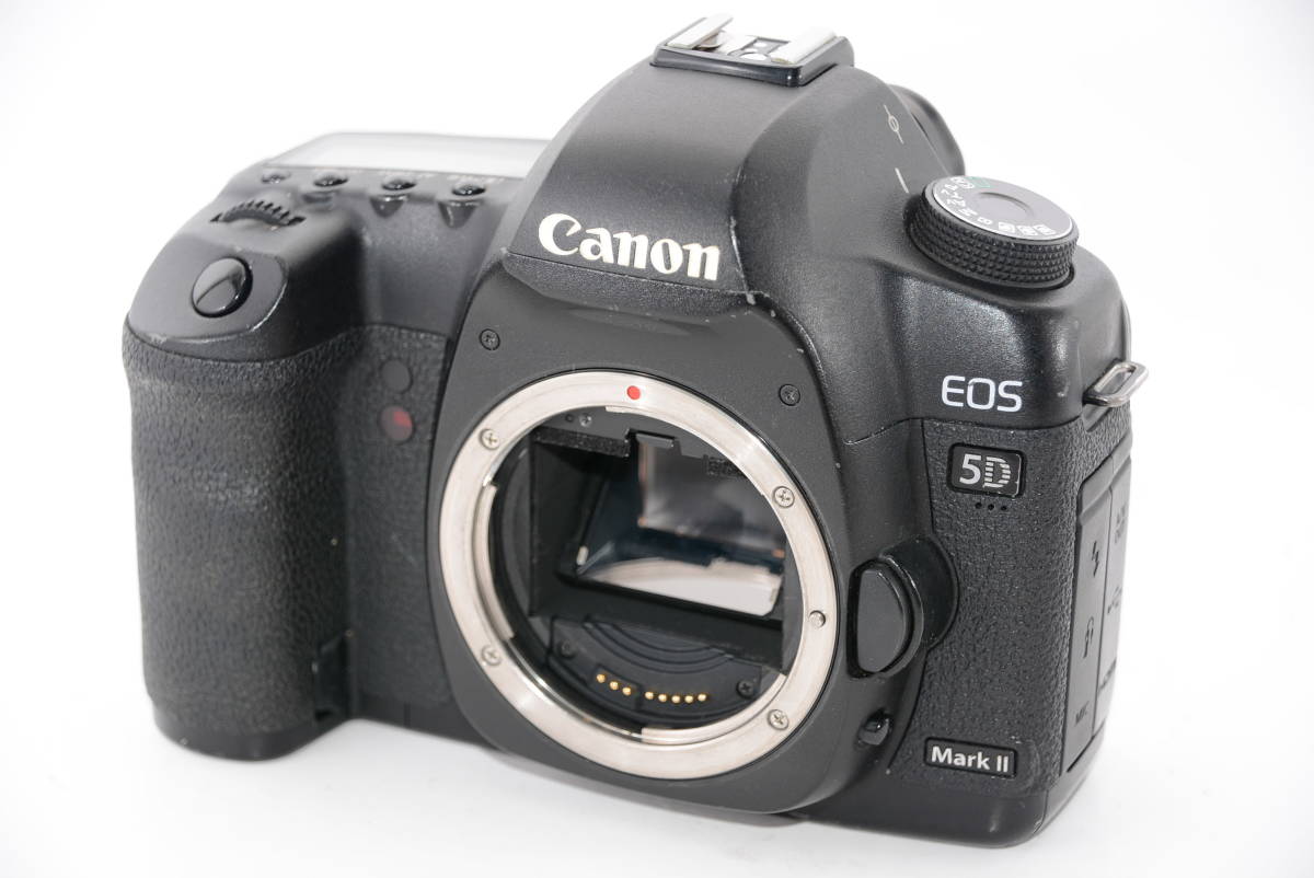 全ての 【外観特上級】Canon ボディ #m6425 MarkII 5D EOS デジタル