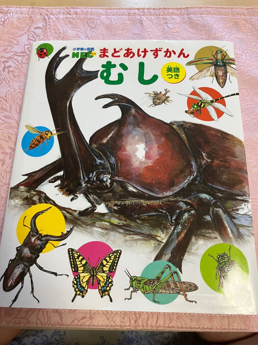 まどあけずかん むし  小学館の図鑑NEO カバー付き