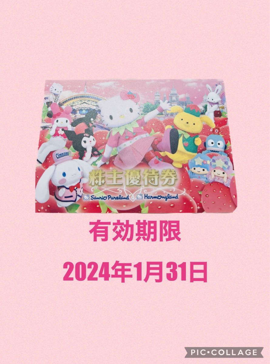 サンリオピューロランド チケット3枚 サンリオショップ1000円