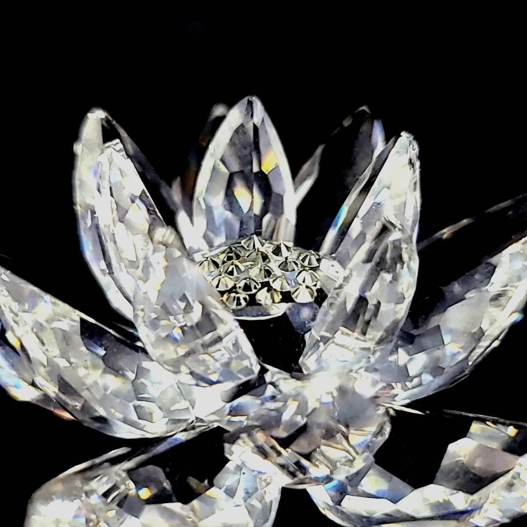 【美品】スワロフスキー フィギュリン 睡蓮 美品 スワロフスキー SWAROVSKI 睡蓮 スイレン 水蓮 838181