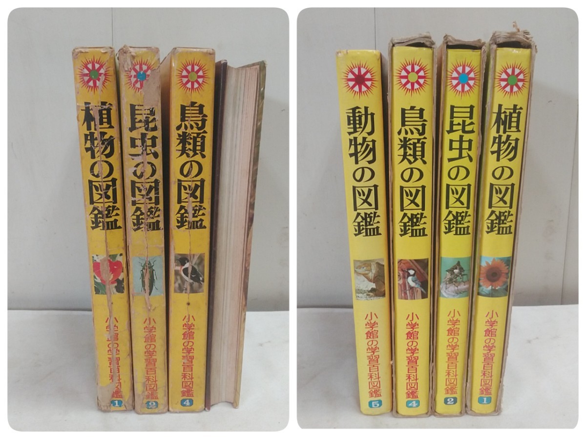 昭和レトロ 小学館の学習百科図鑑【 1.植物/2.昆虫/4.鳥類/5 昭和レトロ 小学館の学習百科図鑑【 1.植物/2.昆虫/4.鳥類/5