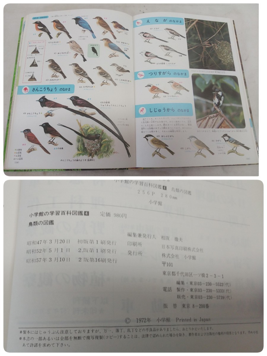 昭和レトロ 小学館の学習百科図鑑【 1.植物/2.昆虫/4.鳥類/5 昭和レトロ 小学館の学習百科図鑑【 1.植物/2.昆虫/4.鳥類/5