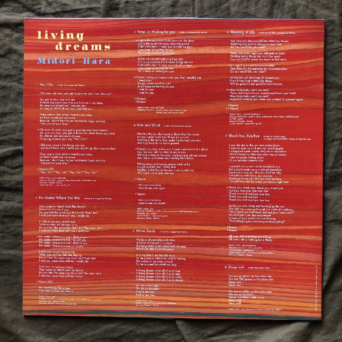 美盤 2021年 原みどり Midori Hara LPレコード CD付き Living Dreams J-Pop 販促資料付き_画像2