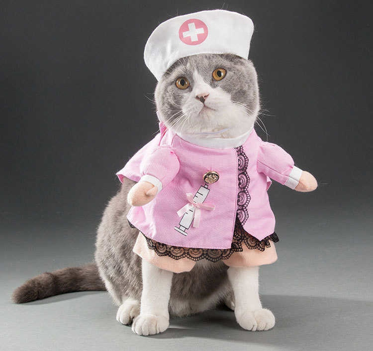  кошка собака одежда Halloween костюм кошка медсестра костюмированная игра .... преображение комплект XL размер 