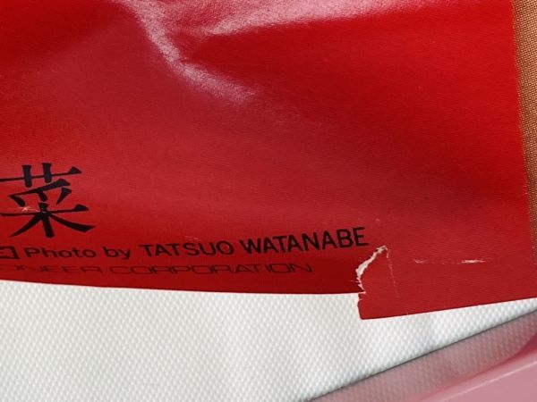 非売品希少レアピン穴なし中森明菜禁区80年代渡辺達生撮影昭和 非売品希少レアピン穴なし中森明菜禁区80年代渡辺達生撮影昭和