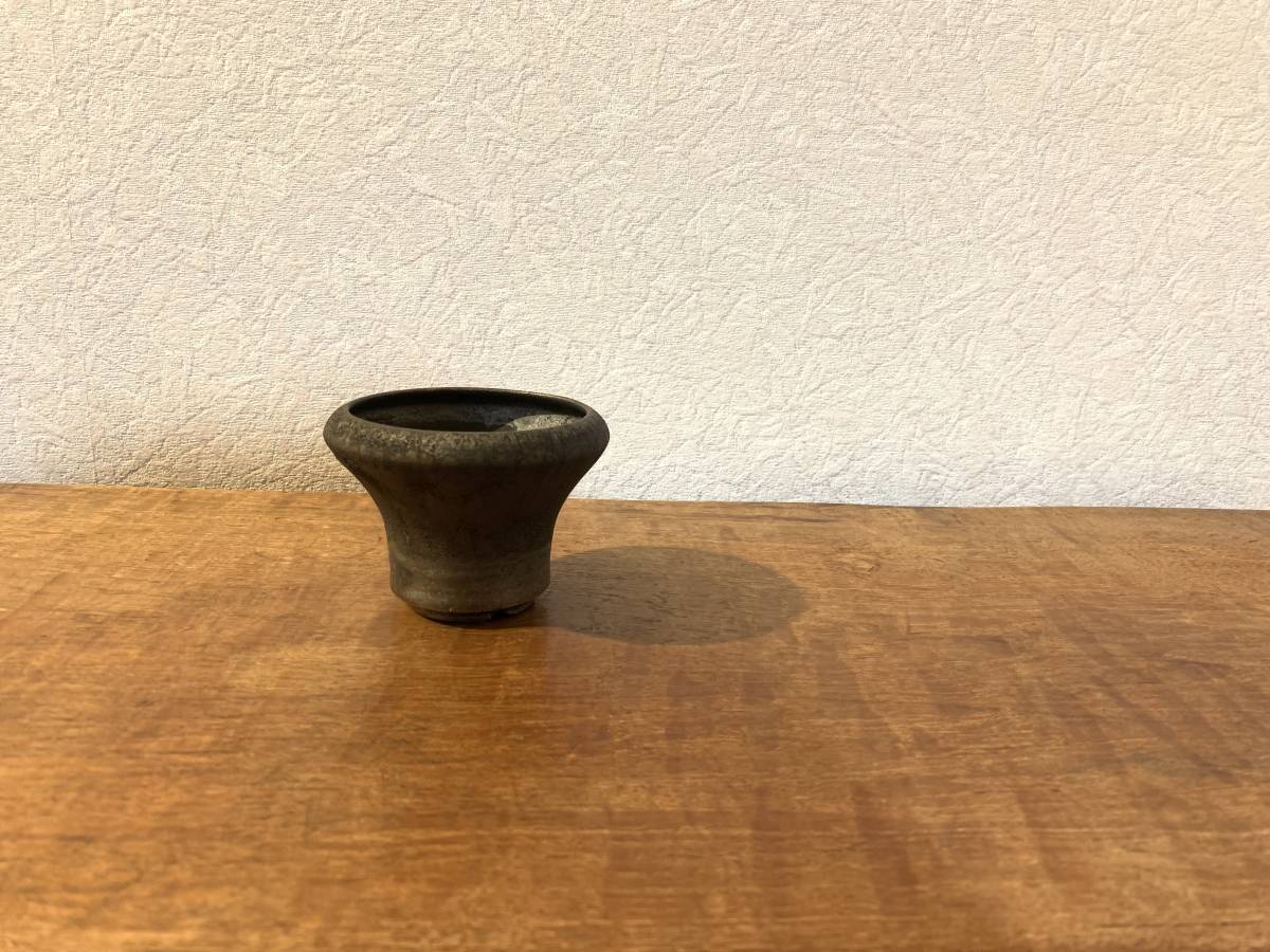 未使用保管品期間限定出品細川政己陶器鉢植木鉢塊根植物コーデックスパ