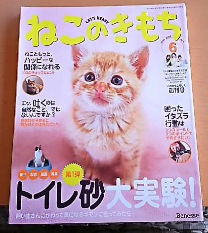 ねこのきもち 8冊セット 猫 本 雑誌 猫ちゃん ねこちゃん 健康 食事 病気予防 緊急事態 熱中症 ネコ 愛猫 病気予防 動物病院 危険信号_画像3