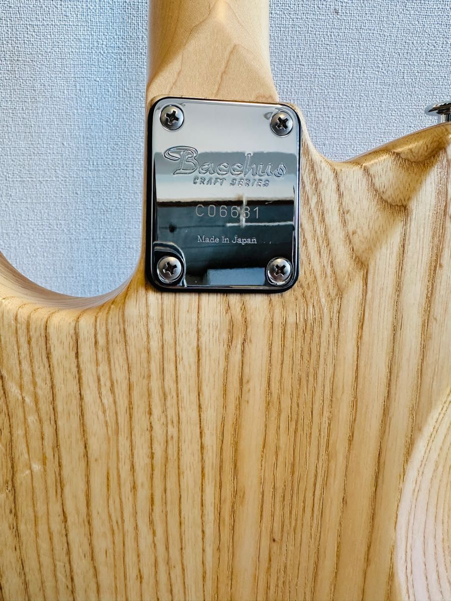 Bacchus テレキャスターHand Crafted Equipment|Yahoo!フリマ Bacchus テレキャスターHand Crafted Equipment|Yahoo!フリマ