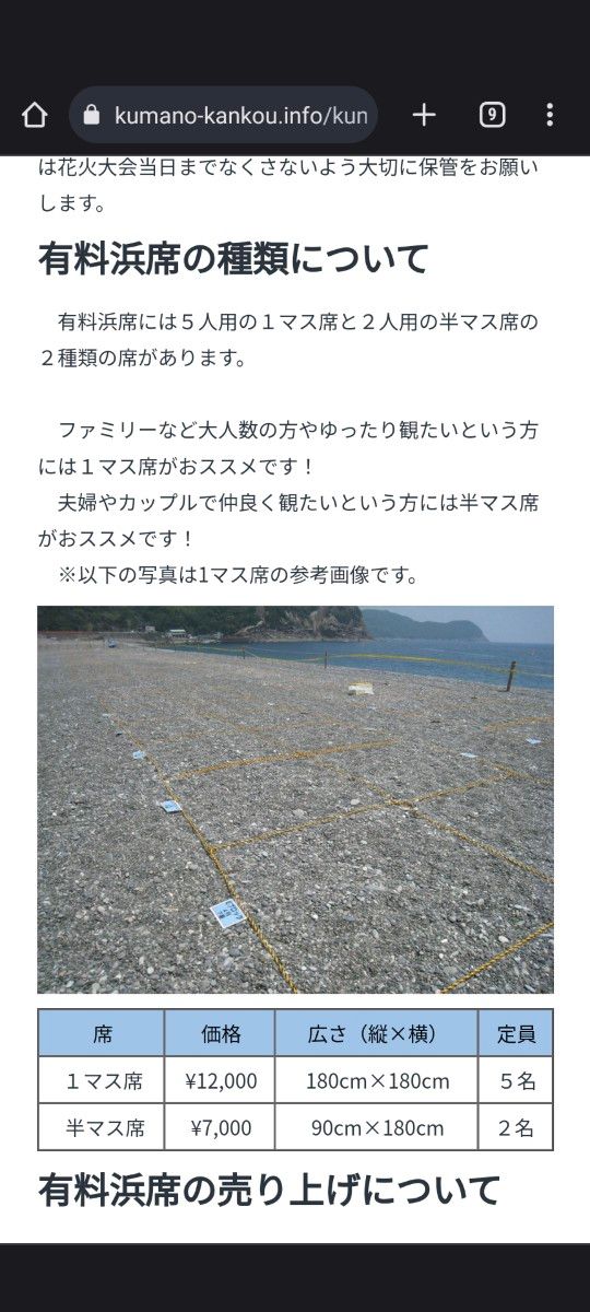 熊野花火大会 有料浜席(連番5名分)|PayPayフリマ