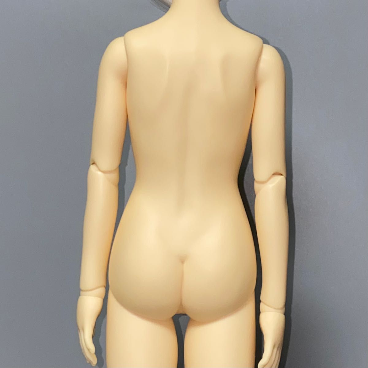VOLKS ボークス スーパードルフィー SD ミミ 本体 女の子|Yahoo VOLKS ボークス スーパードルフィー SD ミミ 本体 女の子|Yahoo