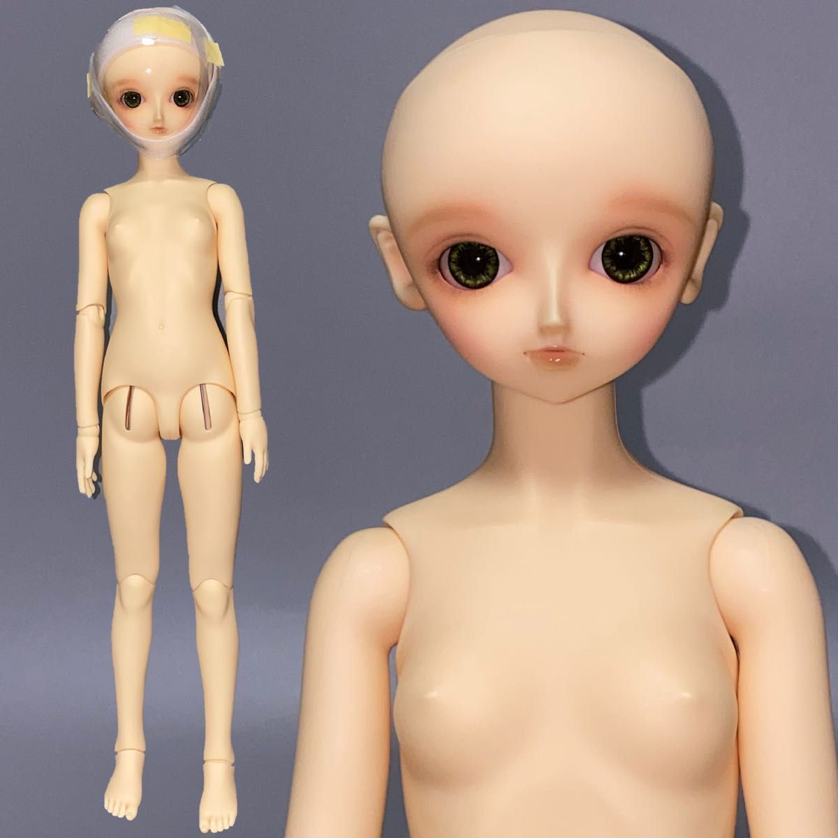VOLKS ボークス スーパードルフィー SD ミミ 本体 女の子|Yahoo VOLKS ボークス スーパードルフィー SD ミミ 本体 女の子|Yahoo