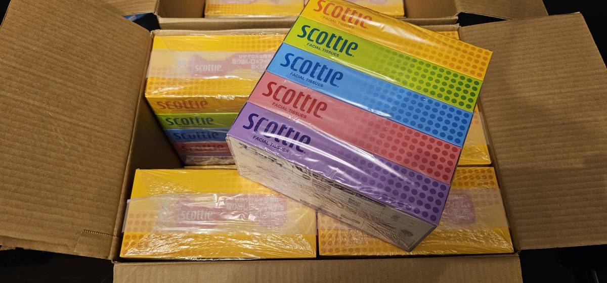 スコッティ ネピア ティッシュ 120箱 新品未開封 送料無料 scottie TISSUE nepia 日本製_画像2