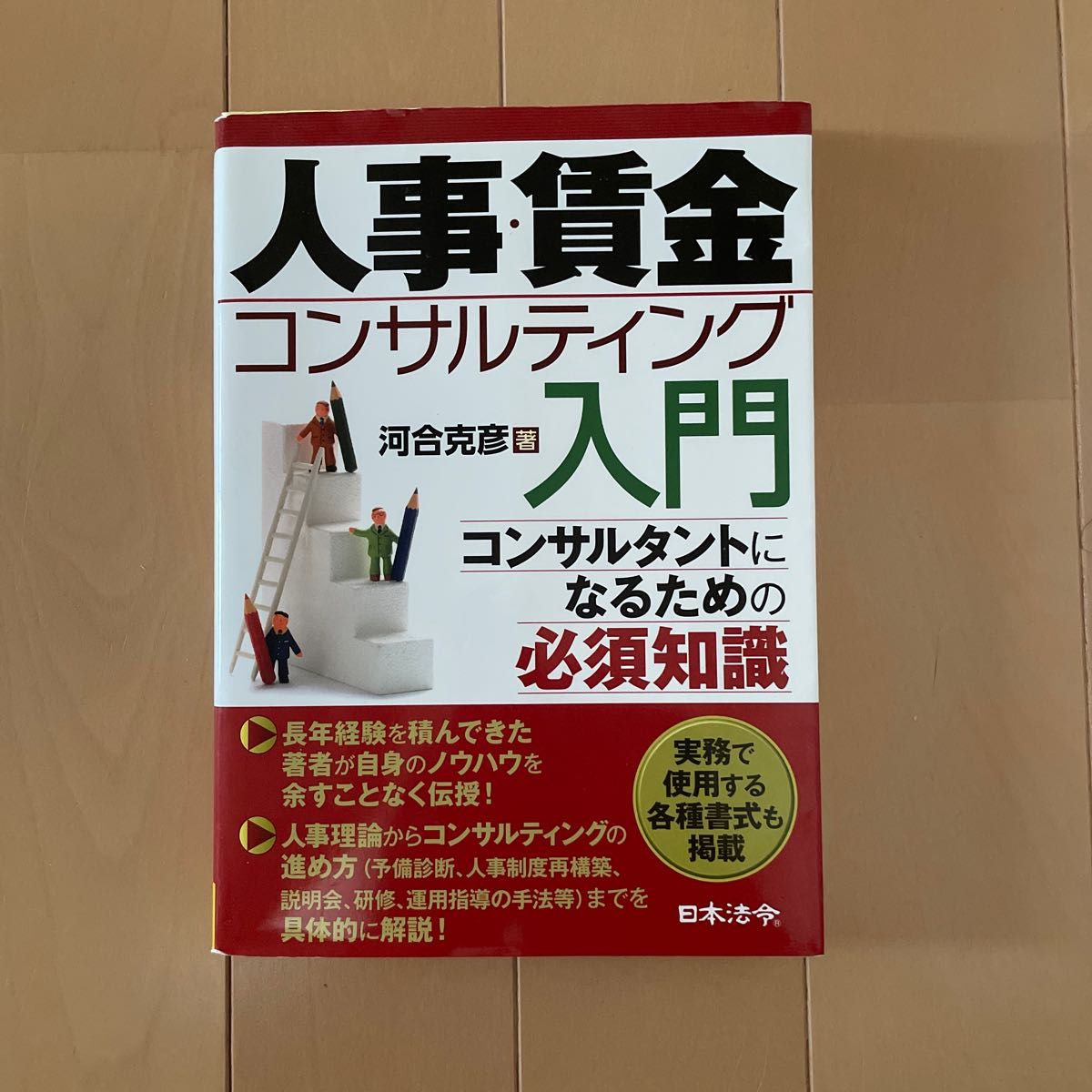 人事・賃金コンサルティング入門　コンサルタントになるための必須知識 河合克彦／著