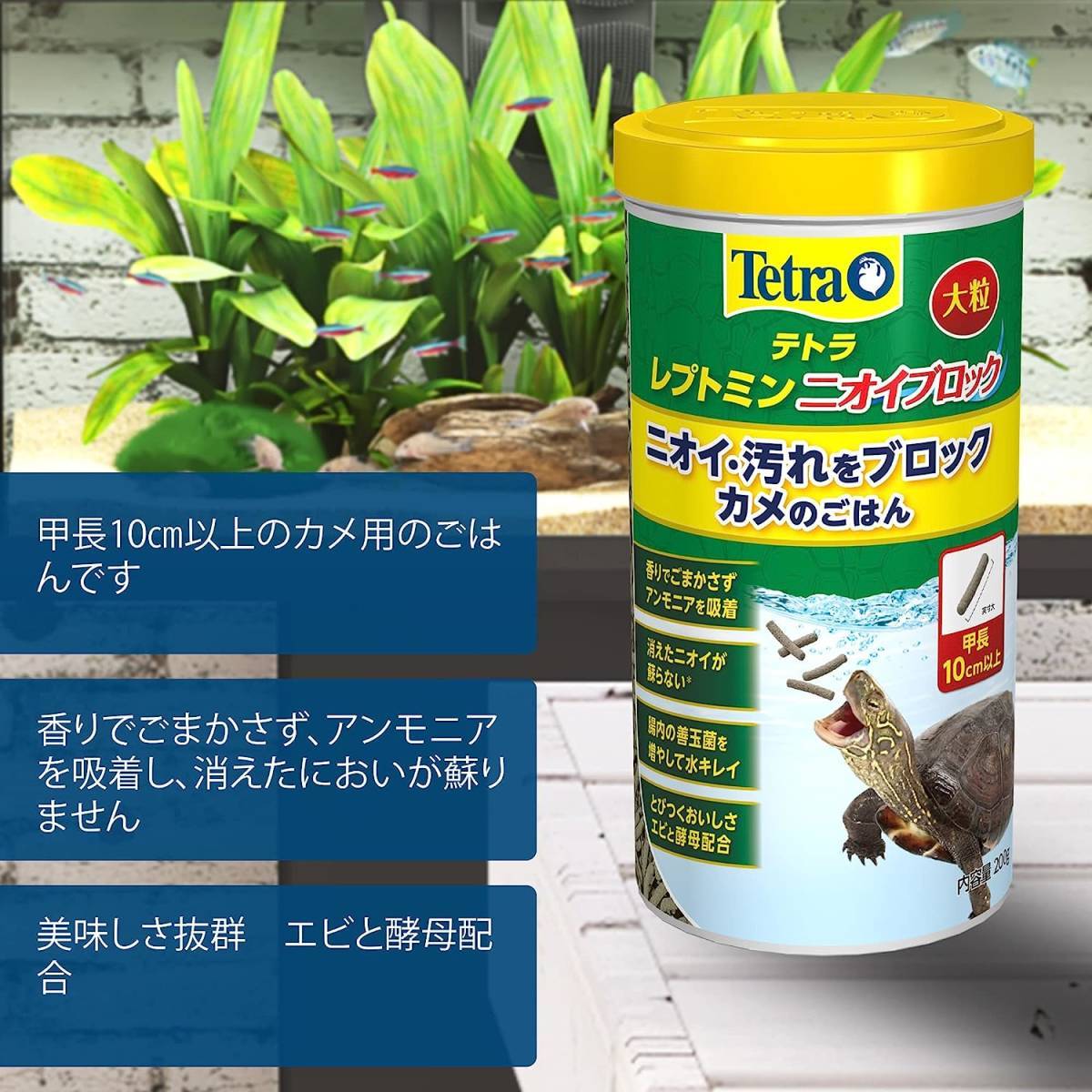  Tetra reptomin запах блок крупный 200g ×2 комплект стоимость доставки единый по всей стране 520 иен 