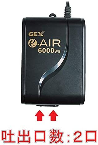 GEX ジェックス イーエアー（e‐AIR）  6000WB ＋ 逆流防止弁【朱】      送料全国一律 520円の画像2