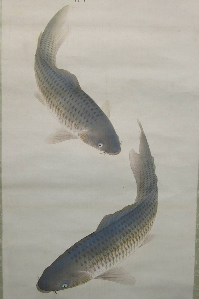《ジャムルK》kkg8-44　在銘　明雪 　青松遊鯉之図　日本画 掛軸 絹本 共箱　_画像5