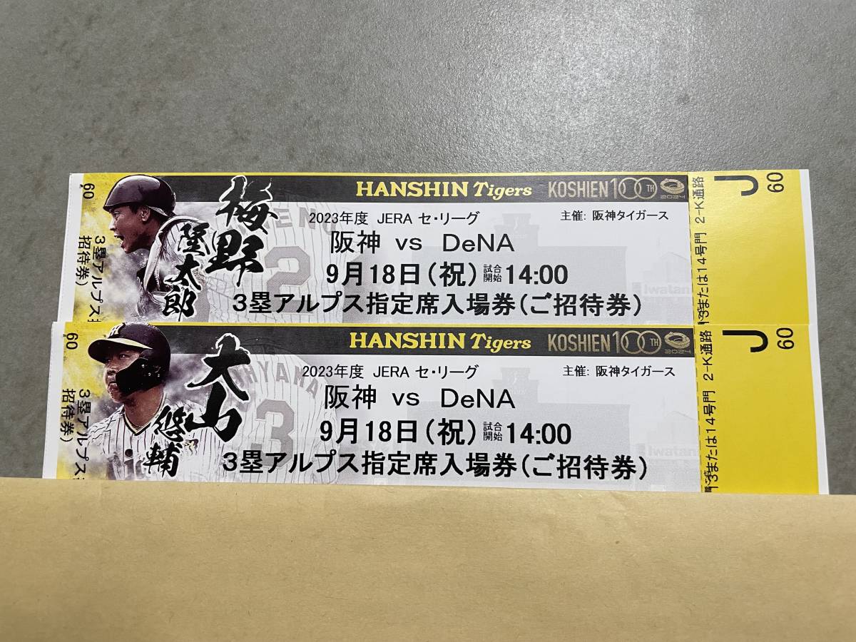 9月18日(祝) 阪神 vs DeNA 14:00〜 3塁アルプス指定席入場券 チケット2
