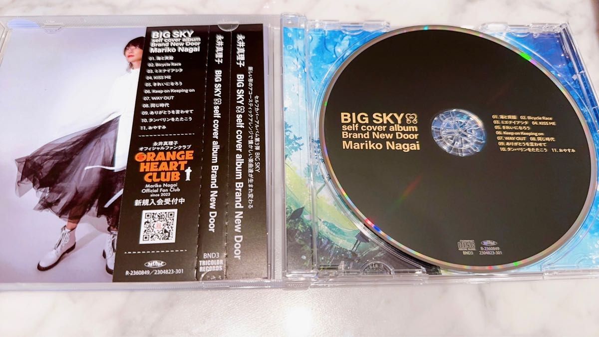 【希少】永井真理子直筆サイン付 BIG SKY セルフカバーアルバム 永井真理子 BIG SKY 直筆サインりCD|Yahoo!フリマ(旧PayPay