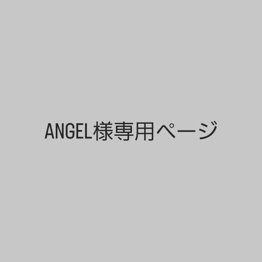 ANGEL 様専用ページ