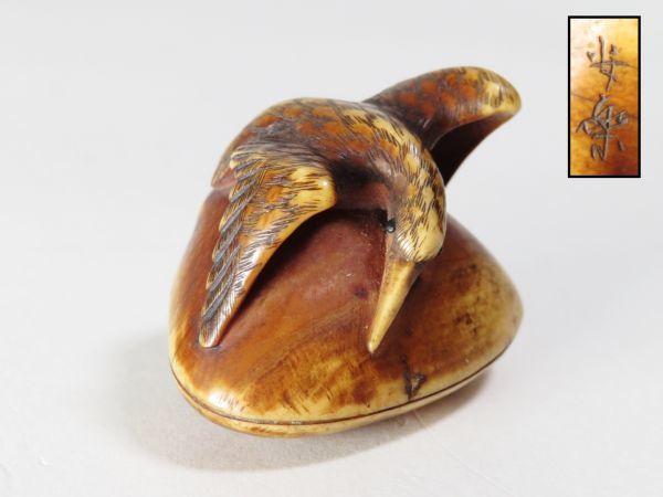 【5468】明治時代　提げ物　在銘　牙　貝に鳥彫　根付（初品・買取品）