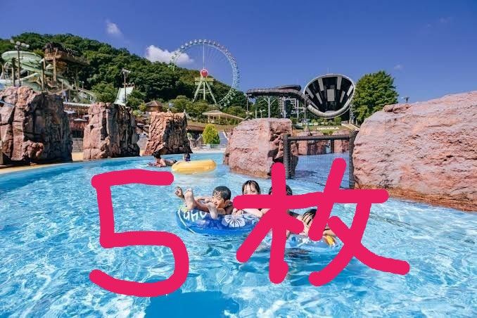 東京サマーランド 1DAYパス フリーパス 5枚セット|PayPayフリマ