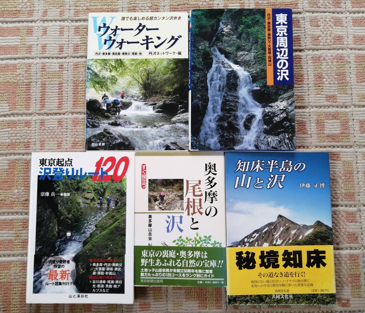 超爆安 沢登りの本5冊 アウトドア