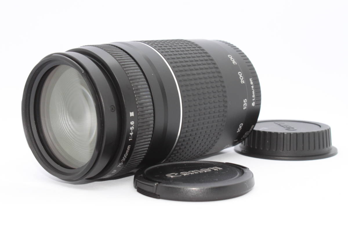 沸騰ブラドン 75-300mm EF Canon ☆良品☆キヤノン F4-5.6 L755#1215