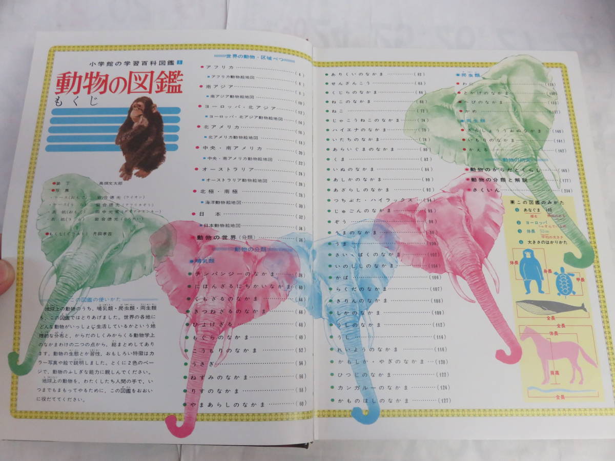 昭和レトロ】動物の図鑑 小学館の学習百科図鑑5 Wide Color 今泉 昭和レトロ】動物の図鑑 小学館の学習百科図鑑5 Wide Color 今泉