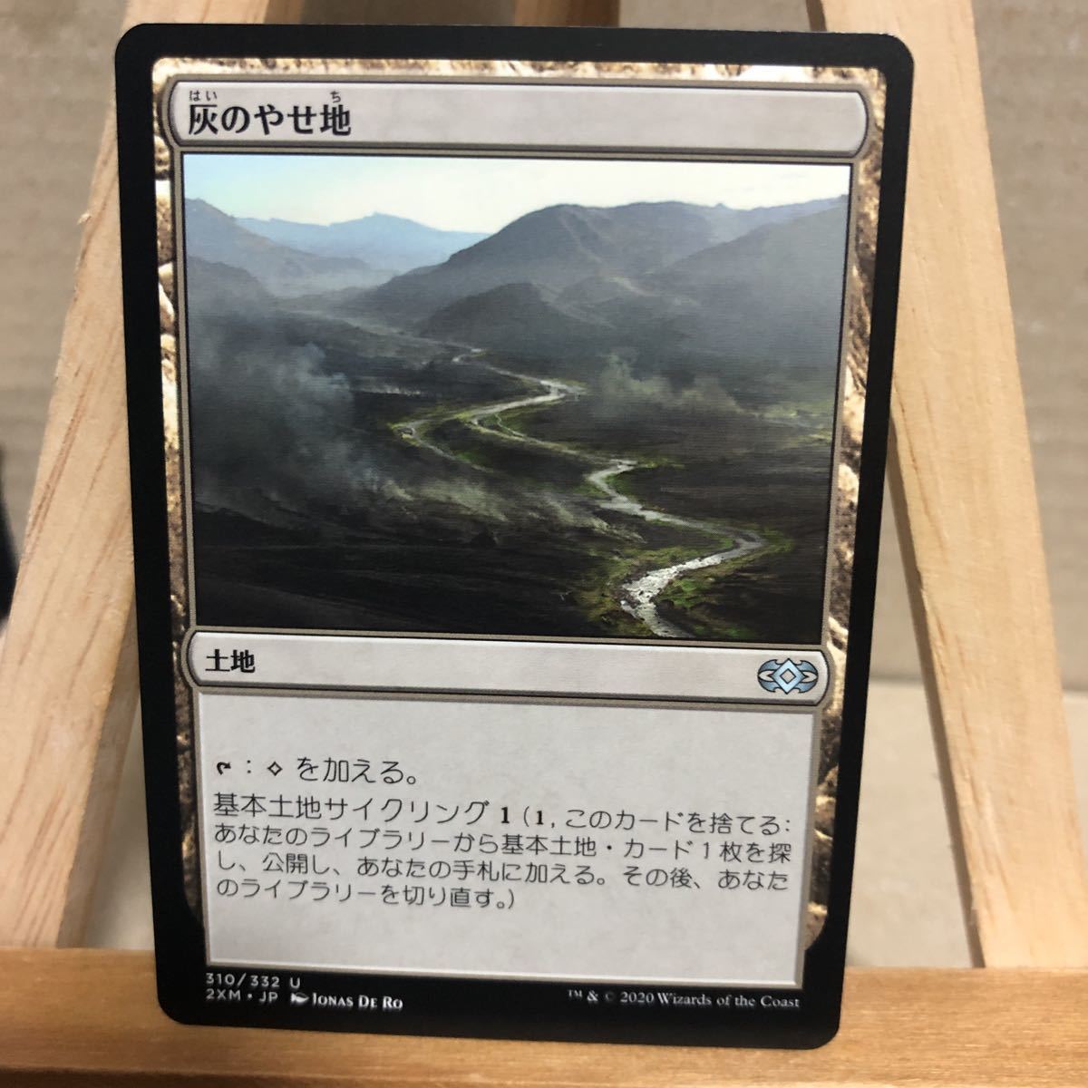 MTG (310)《灰のやせ地/Ash Barrens》[2XM] 土地U 日本語版 ダブルマスターズ アンコモン_画像1