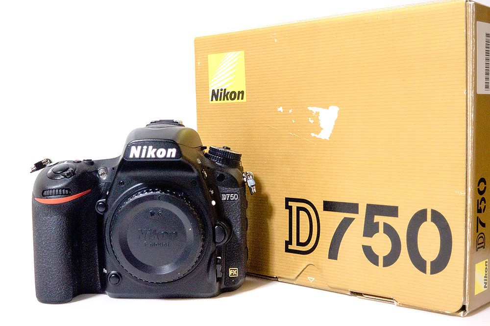 Nikon D750 説明書・バッテリー・充電器・本体ケース・アイピース Nikon D750 説明書・バッテリー・充電器・本体ケース・アイピース