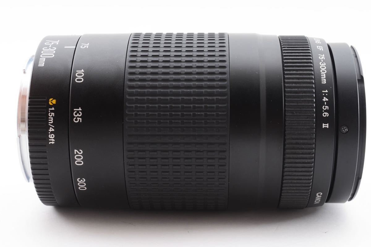 全国宅配無料 ☆極上品☆キャノン CANON EF 75-300mm F4-5.6 II☆1003A