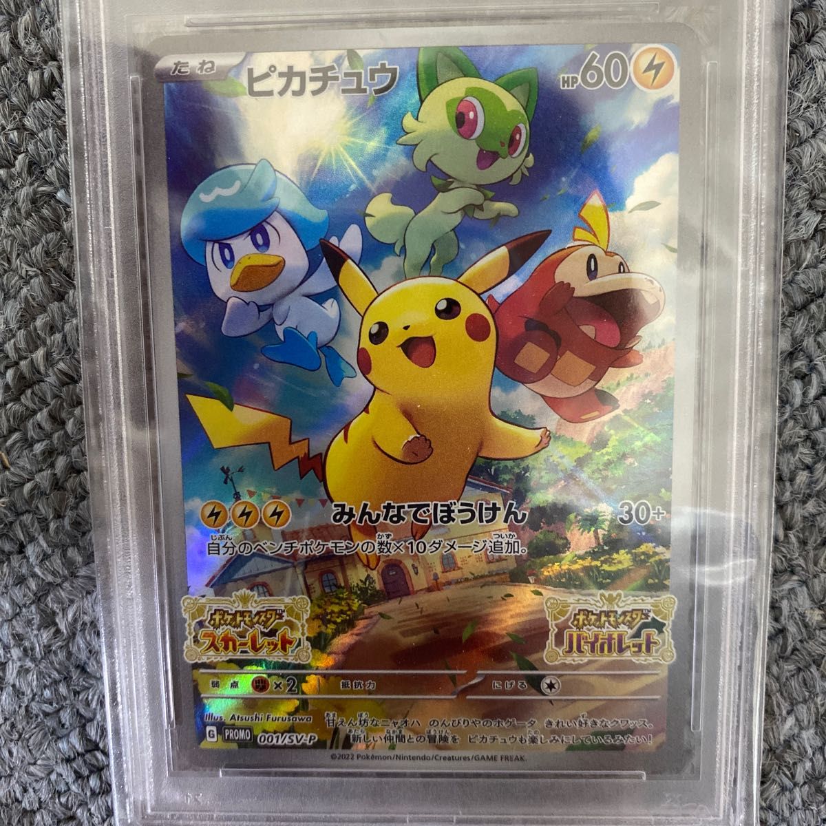 ポケモンカード ポケモン  ピカチュウ プロモカード バイオレット スカーレット 購入特典 PSA9 