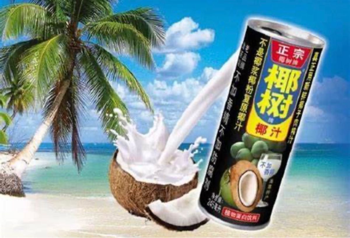 正宗 椰樹牌椰汁 245ml *24入ココナッツミルク ココナッツジュース【常温便】