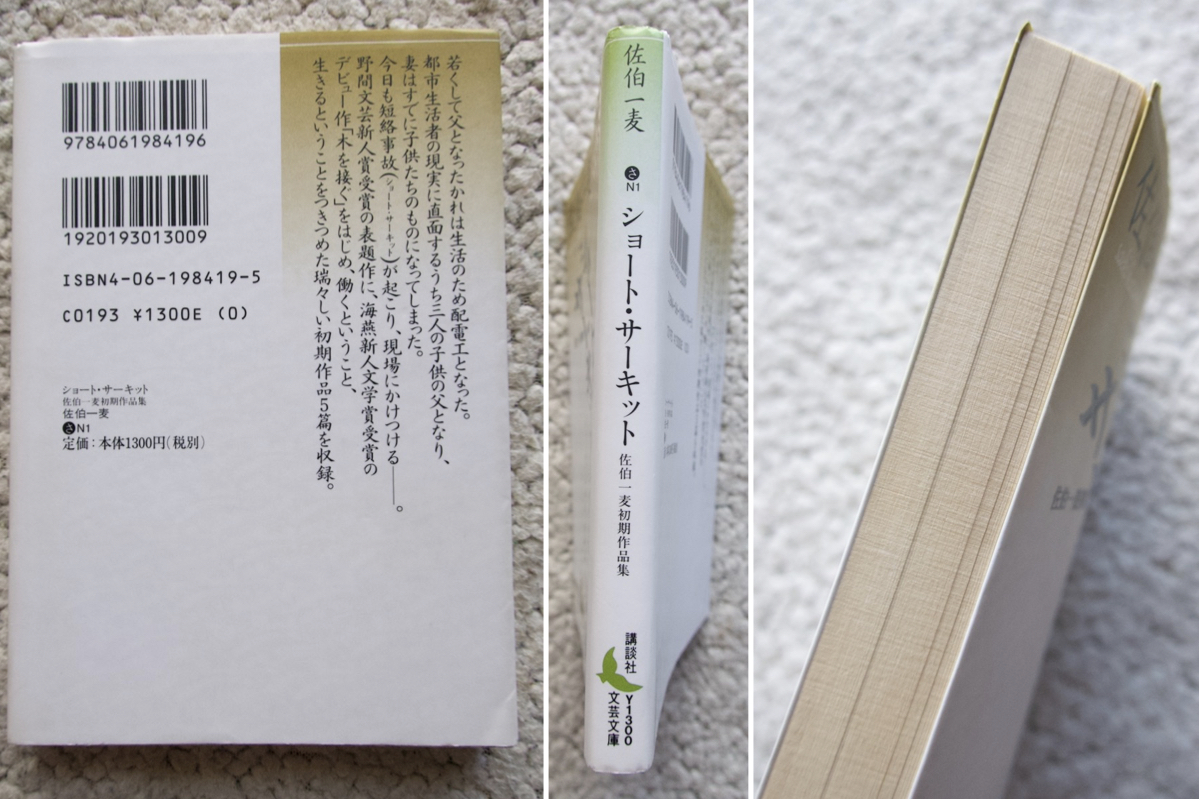 ショート・サーキット 佐伯一麦初期作品集 (講談社文芸文庫) 佐伯一麦 2005年1刷_画像2