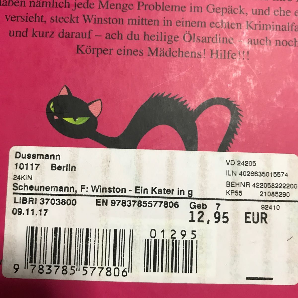 Ein Kater in geheimer Mission