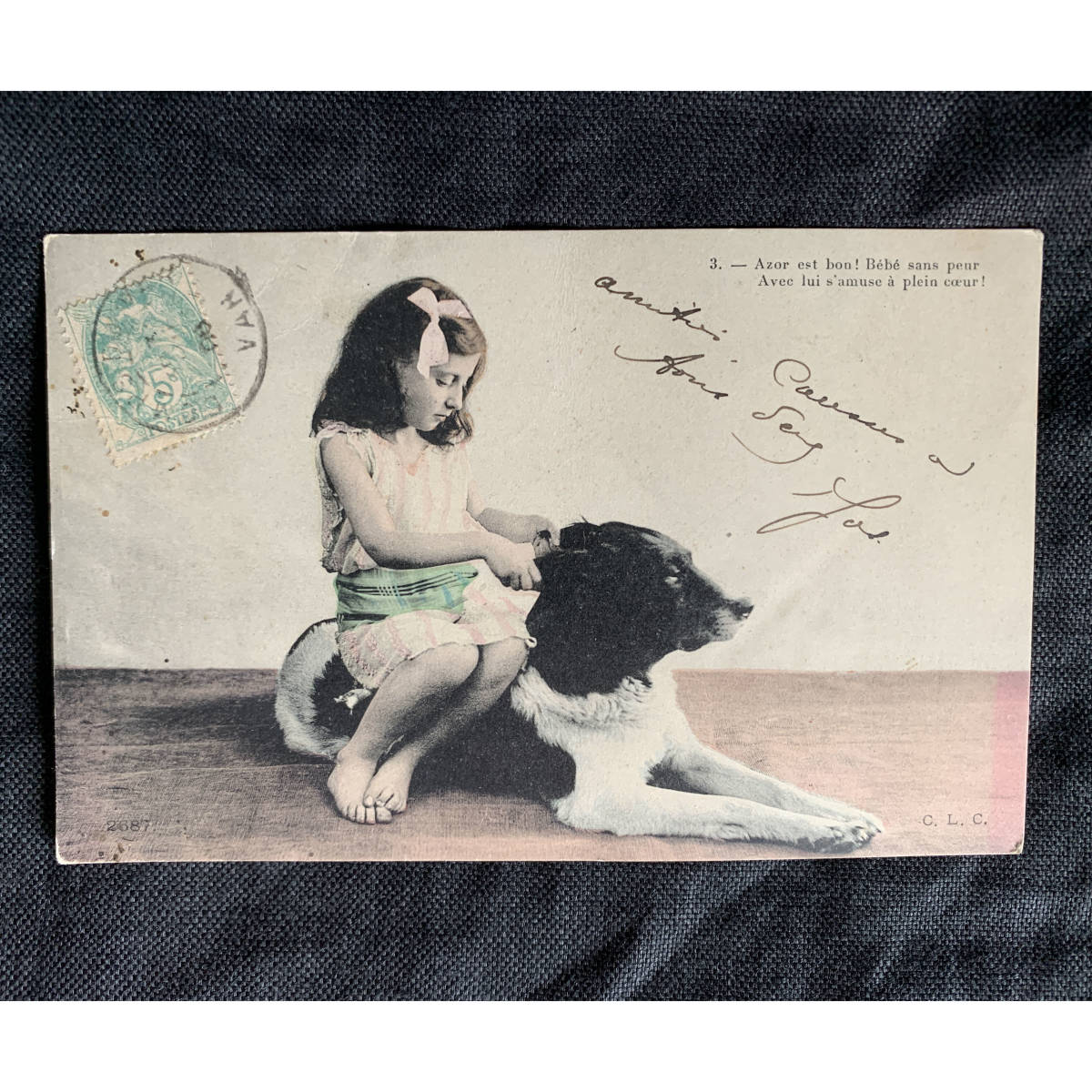 フランス 1910-30s 犬 少女 ポストカード 写真 カメラ 銀板 クラシック アート 葉書 絵葉書 ヴィンテージ アンティーク_画像1