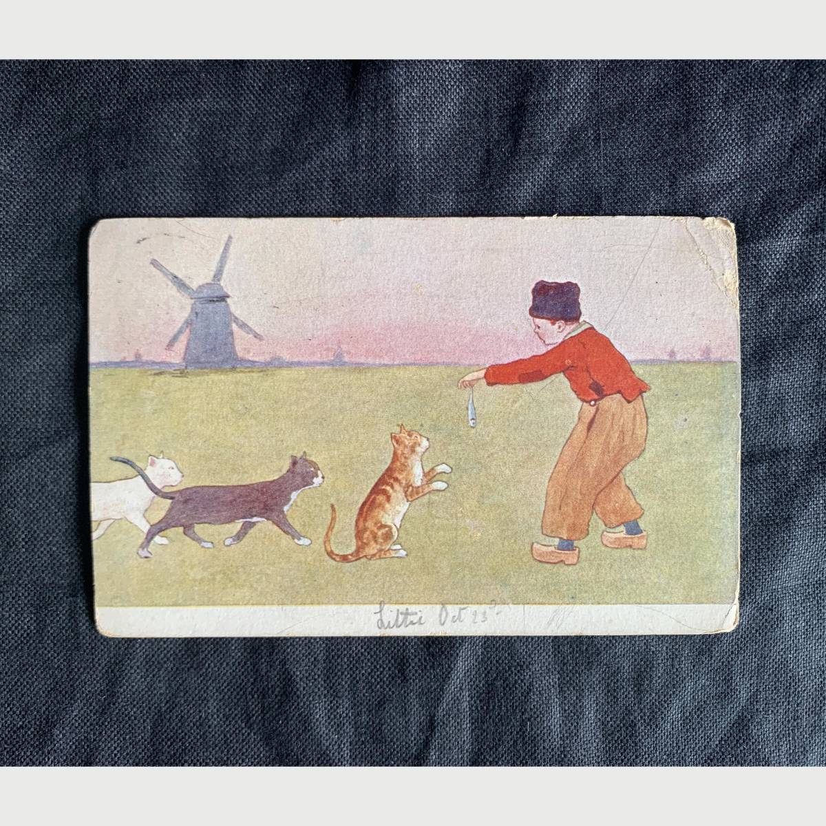 オランダ 1903s 猫 3匹 鰊 風車 ポストカード 写真 カメラ 銀板 クラシック アート 葉書 絵葉書 ヴィンテージ アンティーク
