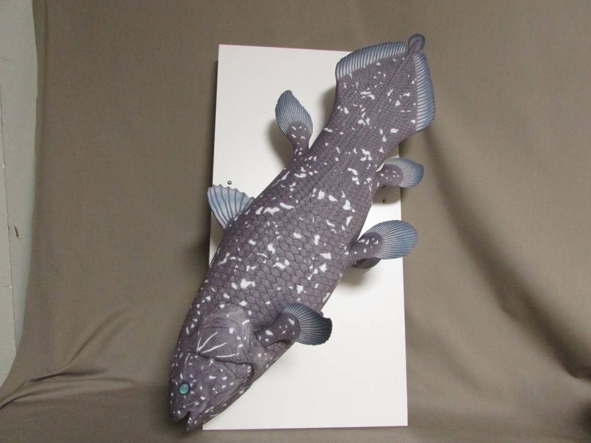 ●つや消し　ハンドメイド　６１ｃｍシーラカンス壁掛け　魚模型　古代魚　化石魚フィギュア　レプリカ　fish craft REAL