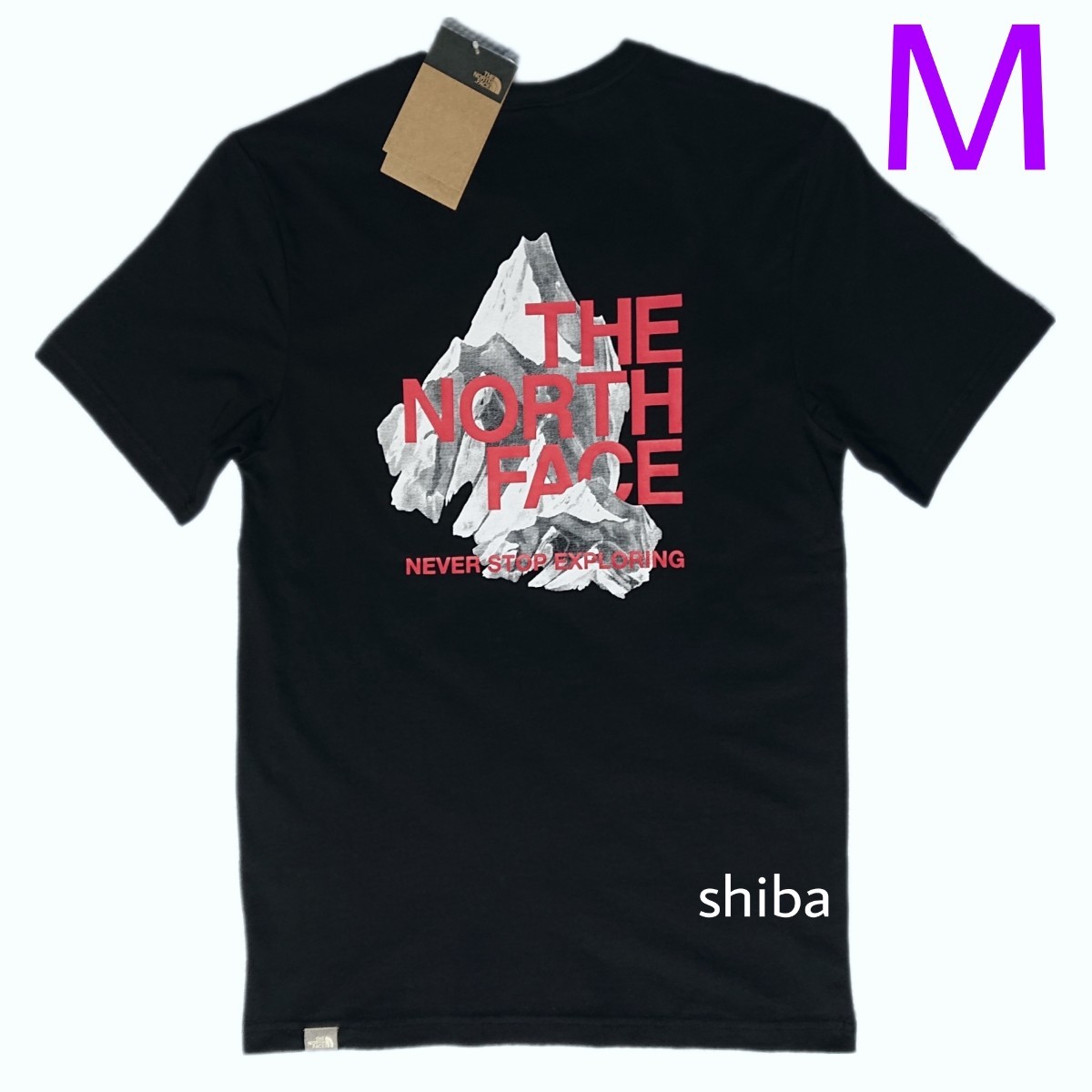 ノースフェイス 半袖 シャドウ 海外M THE NORTH FACE tシャツ BLACK 黒 ブラック 赤 レッド_画像1