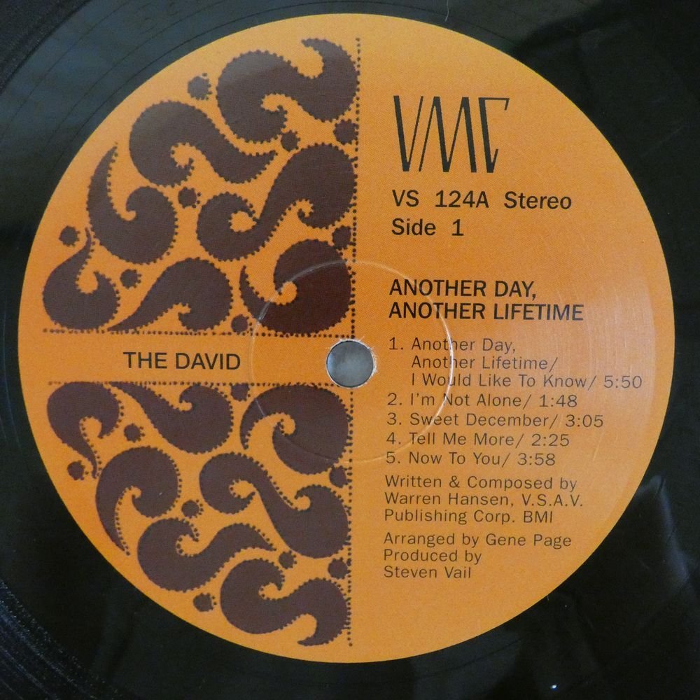 46036535;[US record / height sound quality 180g weight record ]The David / Another Day, Another Lifetime