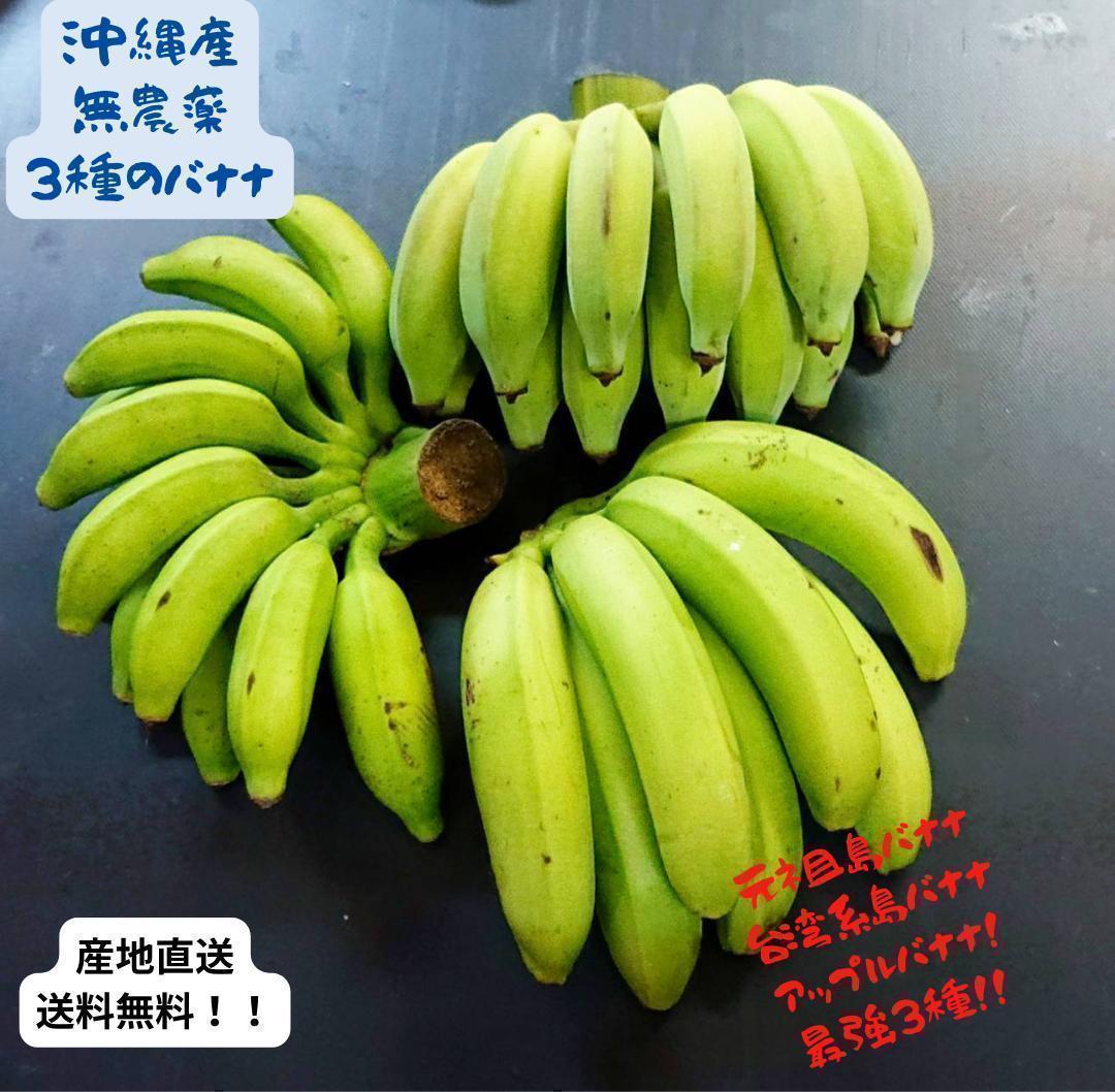 国産バナナ３種 食べ比べ 沖縄本島北部やんばる産直 ３種バナナセット｜PayPayフリマ