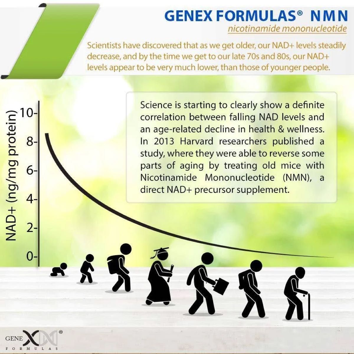 Genex Formulas社　NMNサプリメント　250mg 60粒